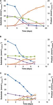 Enrichment of Anaerobic Syngas-Converting Communities and Isolation of a Novel Carboxydotrophic Acetobacterium wieringae Strain JM